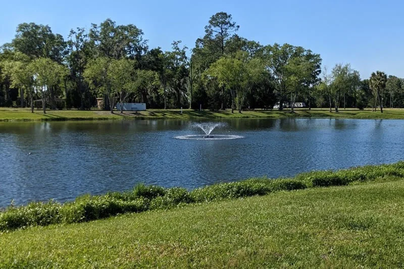 pond